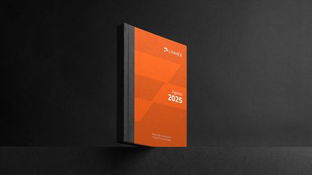 Diseño de agenda para Linmex